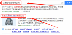 和縣科嘉閥門鑄造有限公司與我司做網(wǎng)站推廣項目