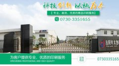 岳陽市*地印務(wù)有限公司網(wǎng)站建設(shè)營銷型案例作品